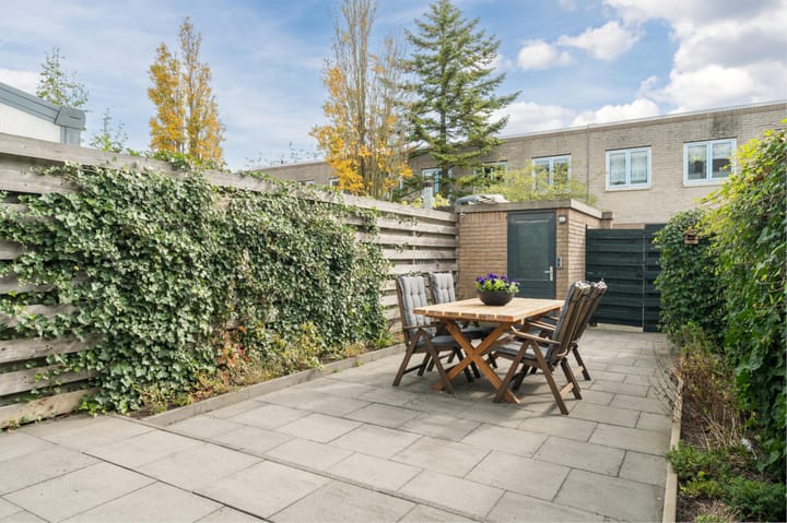 Foto 39 van Atlasvlinder 20