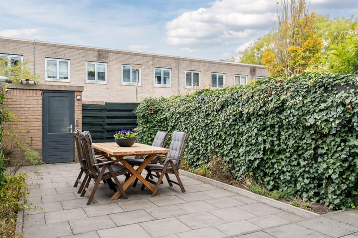 Foto 40 van Atlasvlinder 20