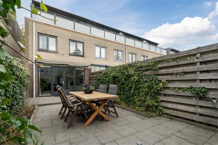 Foto 41 van Atlasvlinder 20