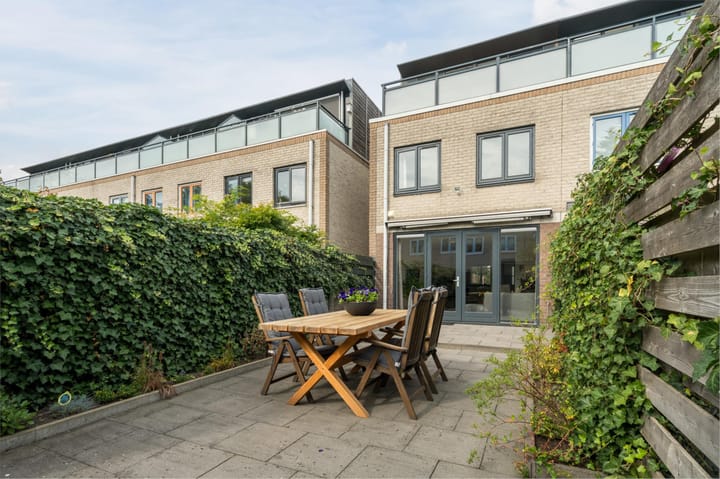 Foto 44 van Atlasvlinder 20