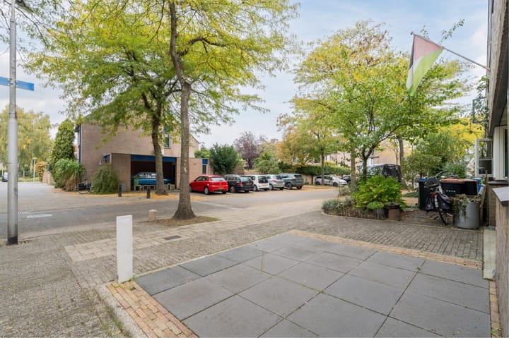 Foto 47 van Atlasvlinder 20