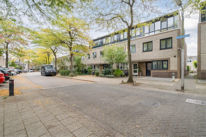 Foto 49 van Atlasvlinder 20