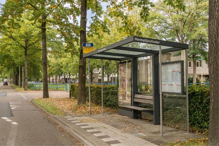 Foto 53 van Atlasvlinder 20