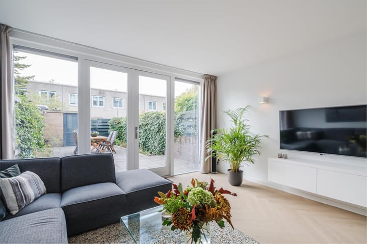 Foto 3 van Atlasvlinder 20