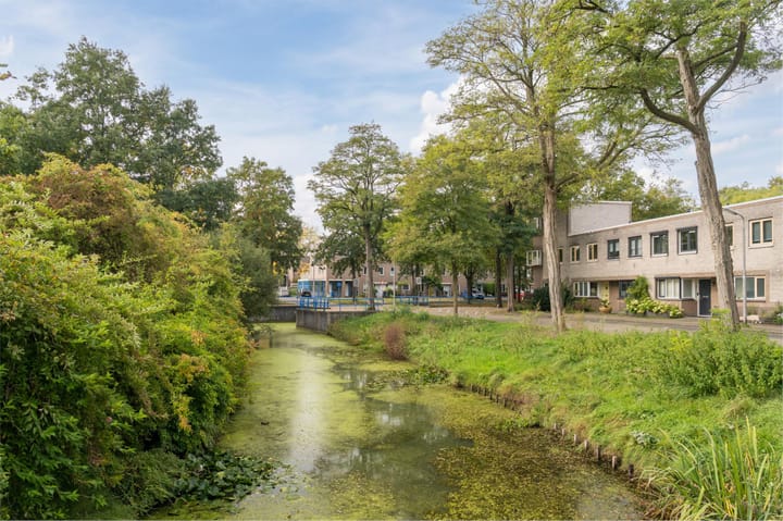 Foto 54 van Atlasvlinder 20