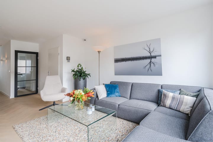 Foto 4 van Atlasvlinder 20