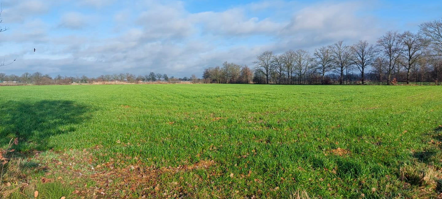 View photo 1 of Blaktdijk