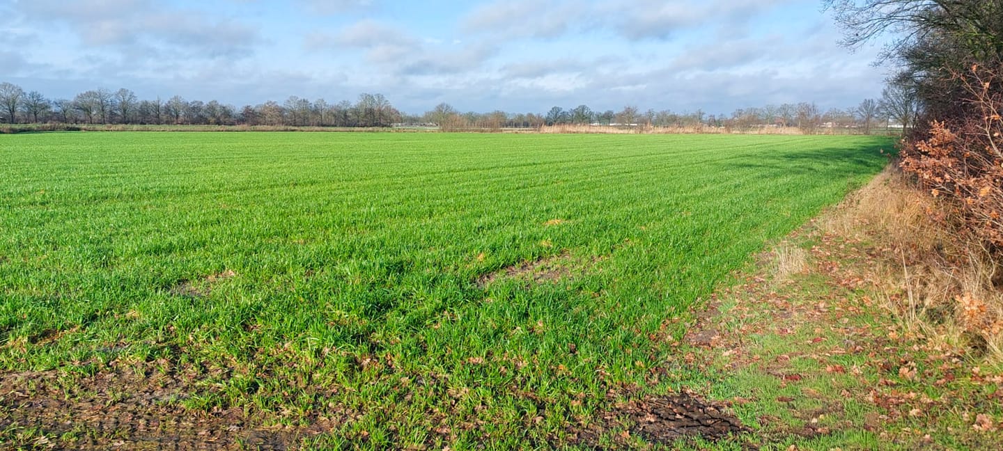 View photo 4 of Blaktdijk