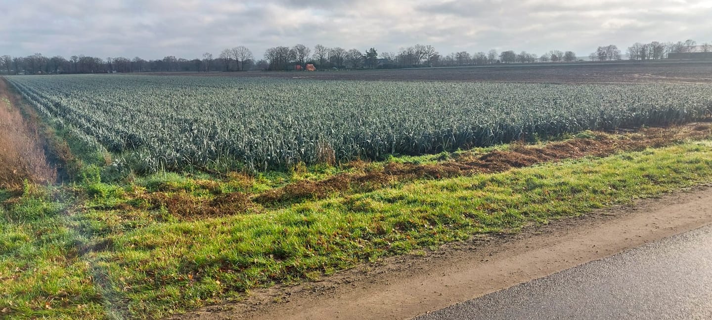 View photo 4 of Hottemeerweg