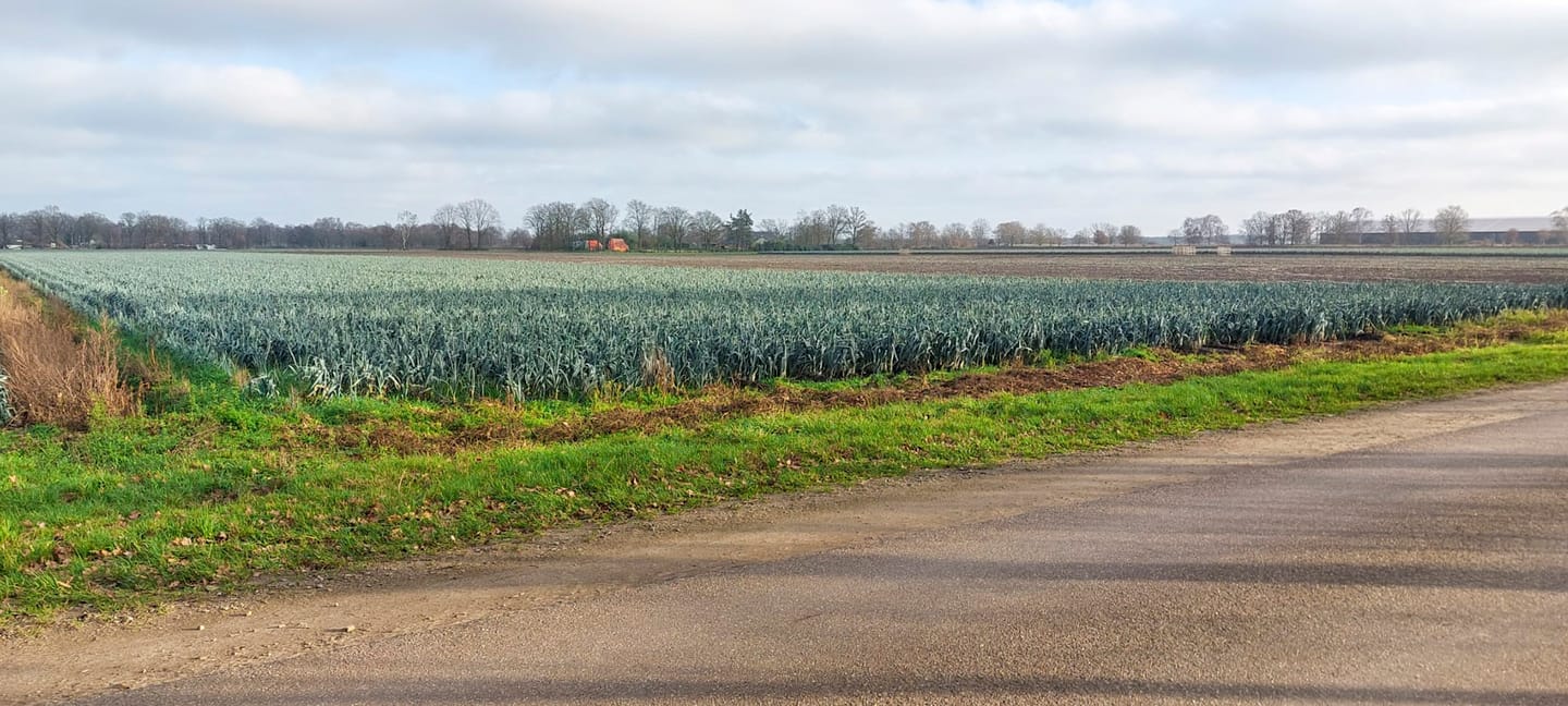 View photo 5 of Hottemeerweg