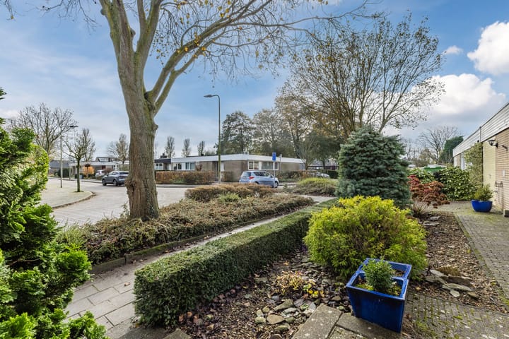 Foto 4 van Poelwaai 7