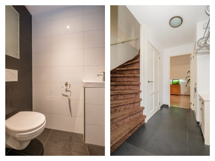 Foto 8 van Koolmees 38