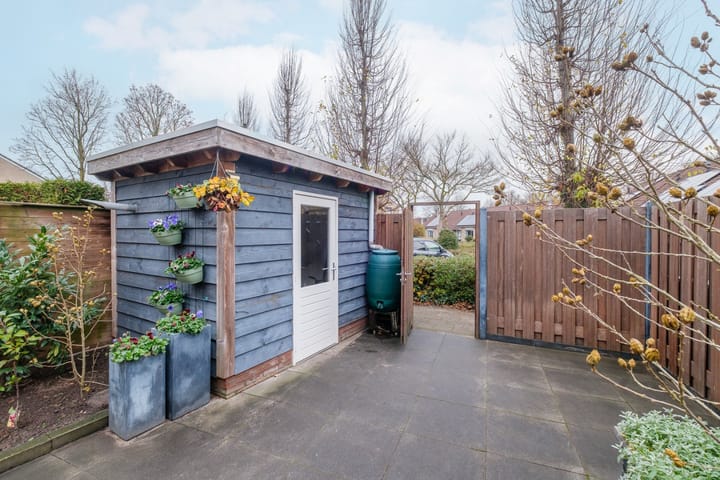 Foto 39 van Koolmees 38