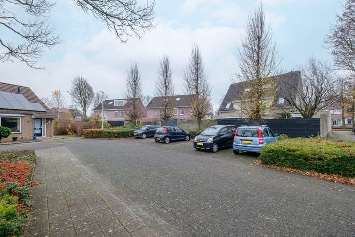 Foto 42 van Koolmees 38