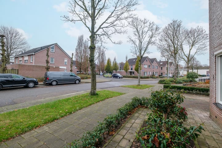 Foto 44 van Koolmees 38