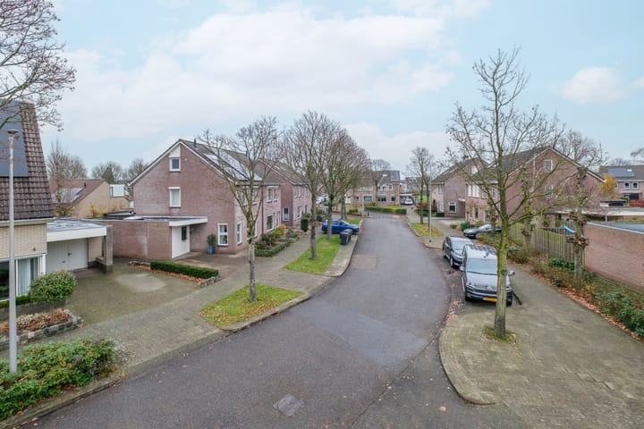 Foto 46 van Koolmees 38