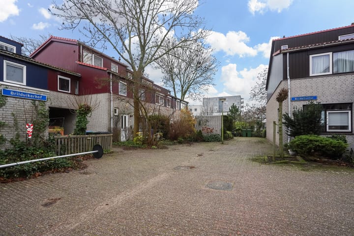 Foto 32 van Brilduikerhof 8