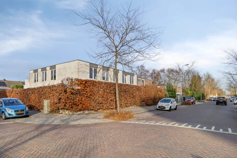 undefined main image