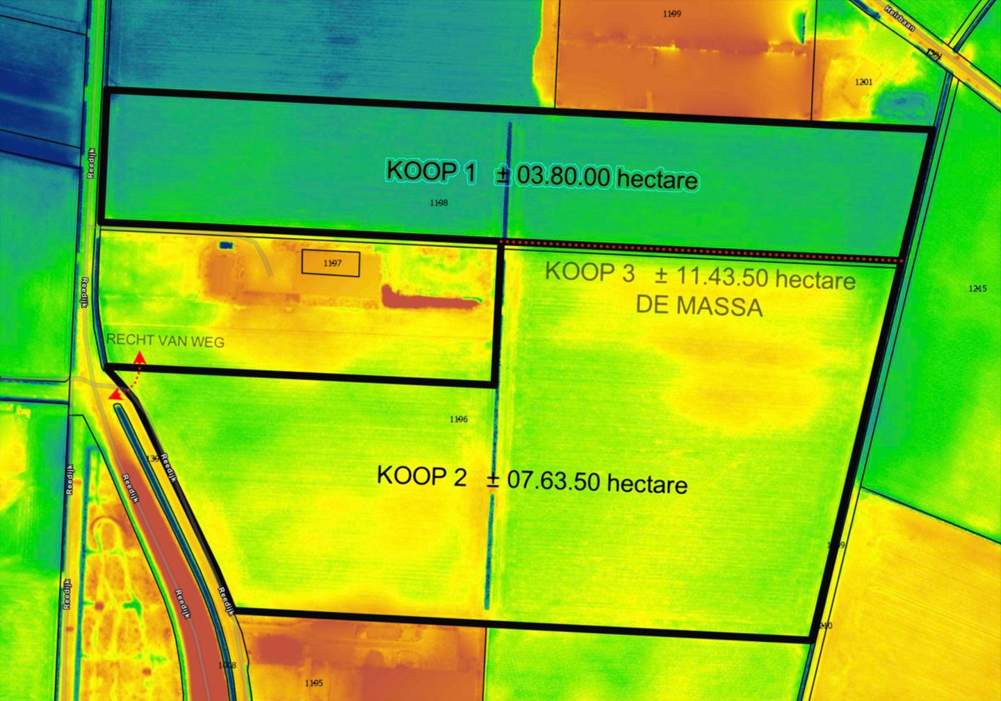 Bekijk foto 4 van Reedijk 4