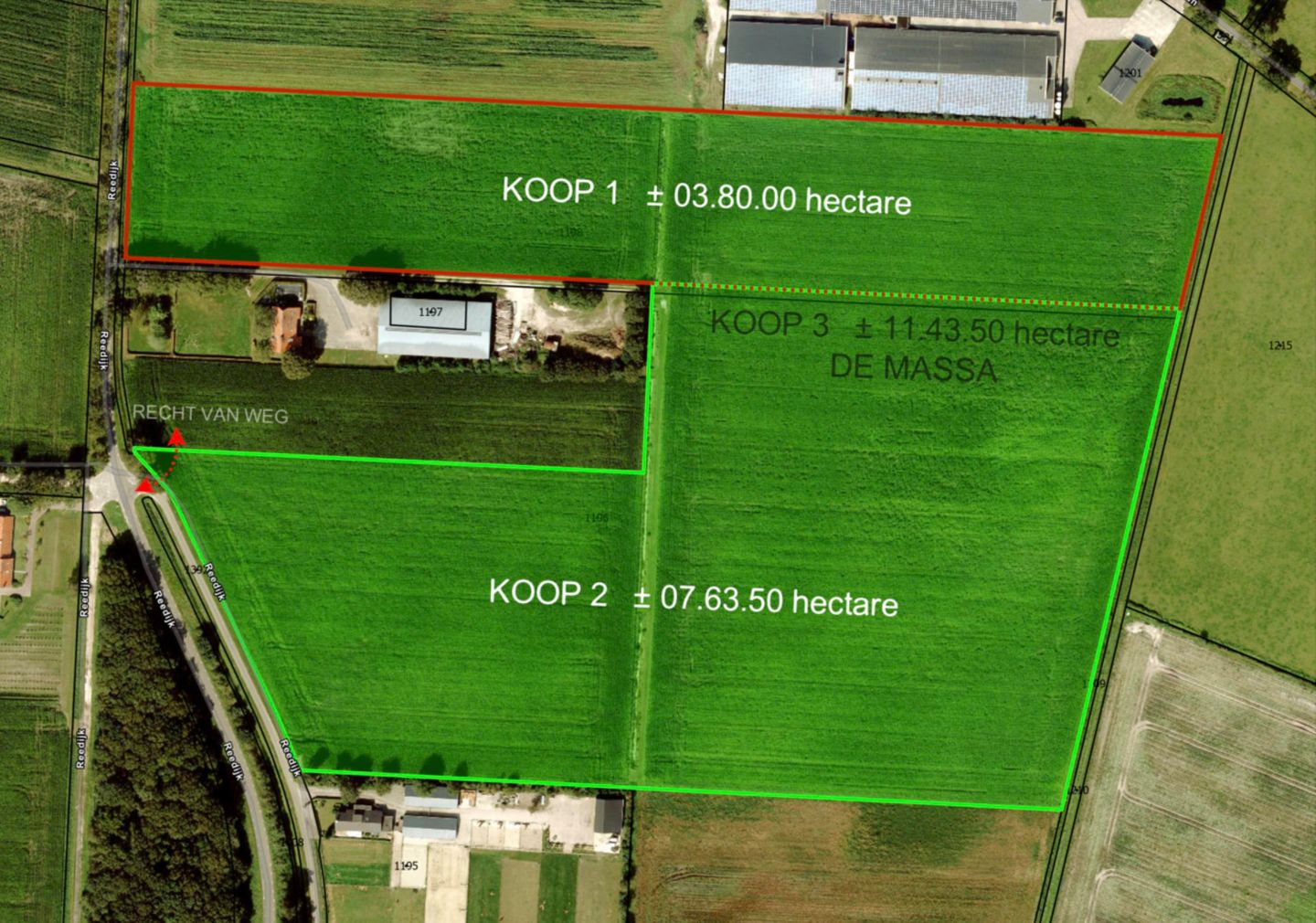 Bekijk foto 2 van Reedijk 4