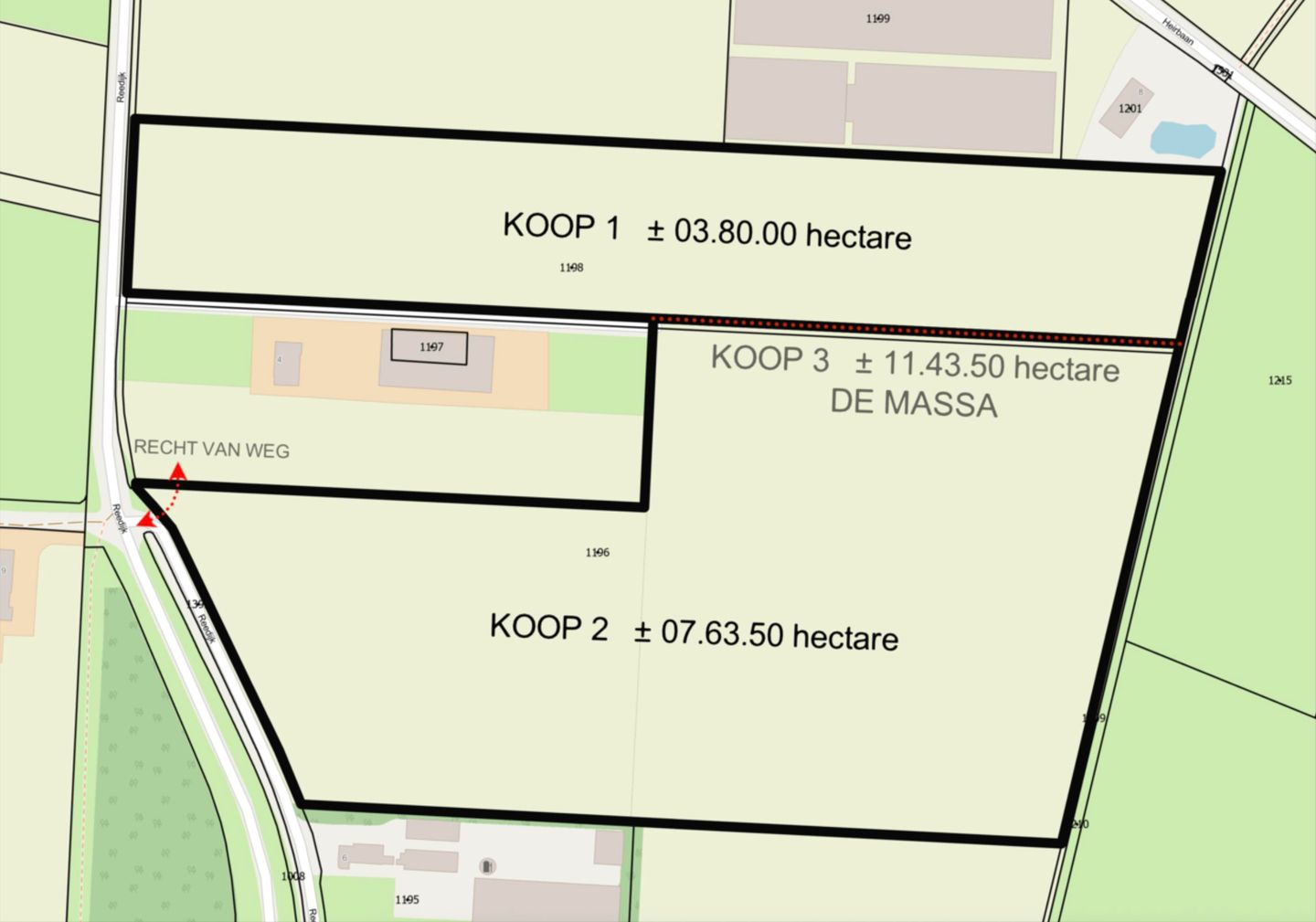 Bekijk foto 3 van Reedijk 4