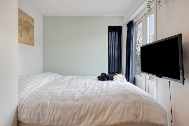 Foto 48 van Zilvermeeuwhof 19