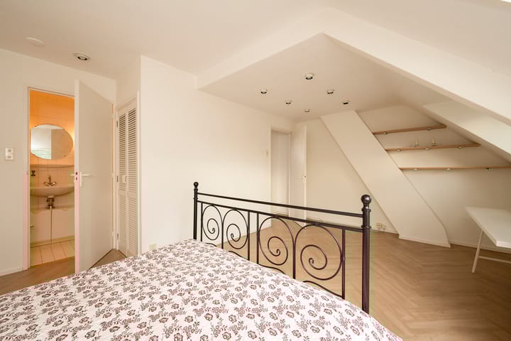 Foto 35 van Johan de Wittstraat 11