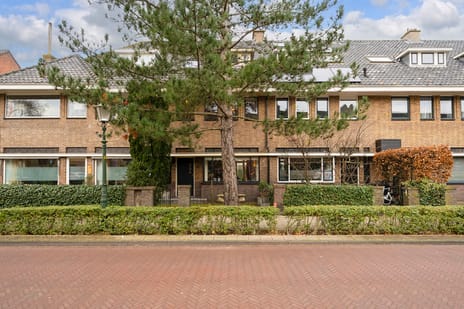 Johan de Wittstraat thumbnail