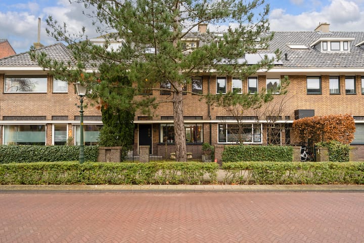 Johan de Wittstraat 11