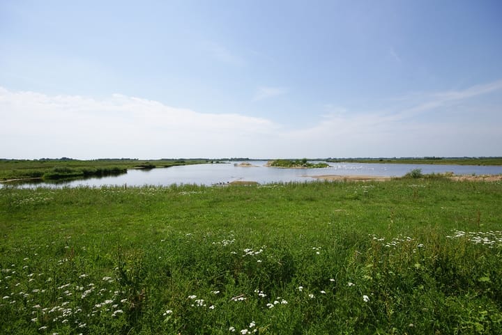 Foto 45 van Neptunusbaan 52