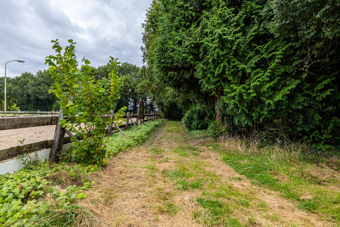 Foto 5 van Luutkampenweg 8