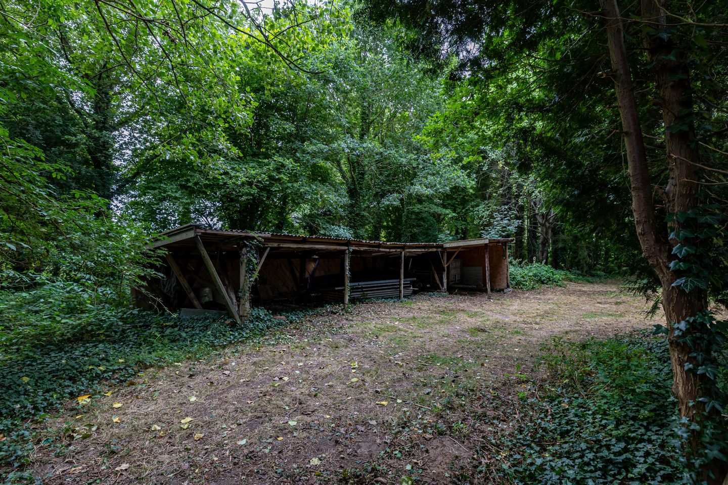 Foto 50 van Luutkampenweg 8