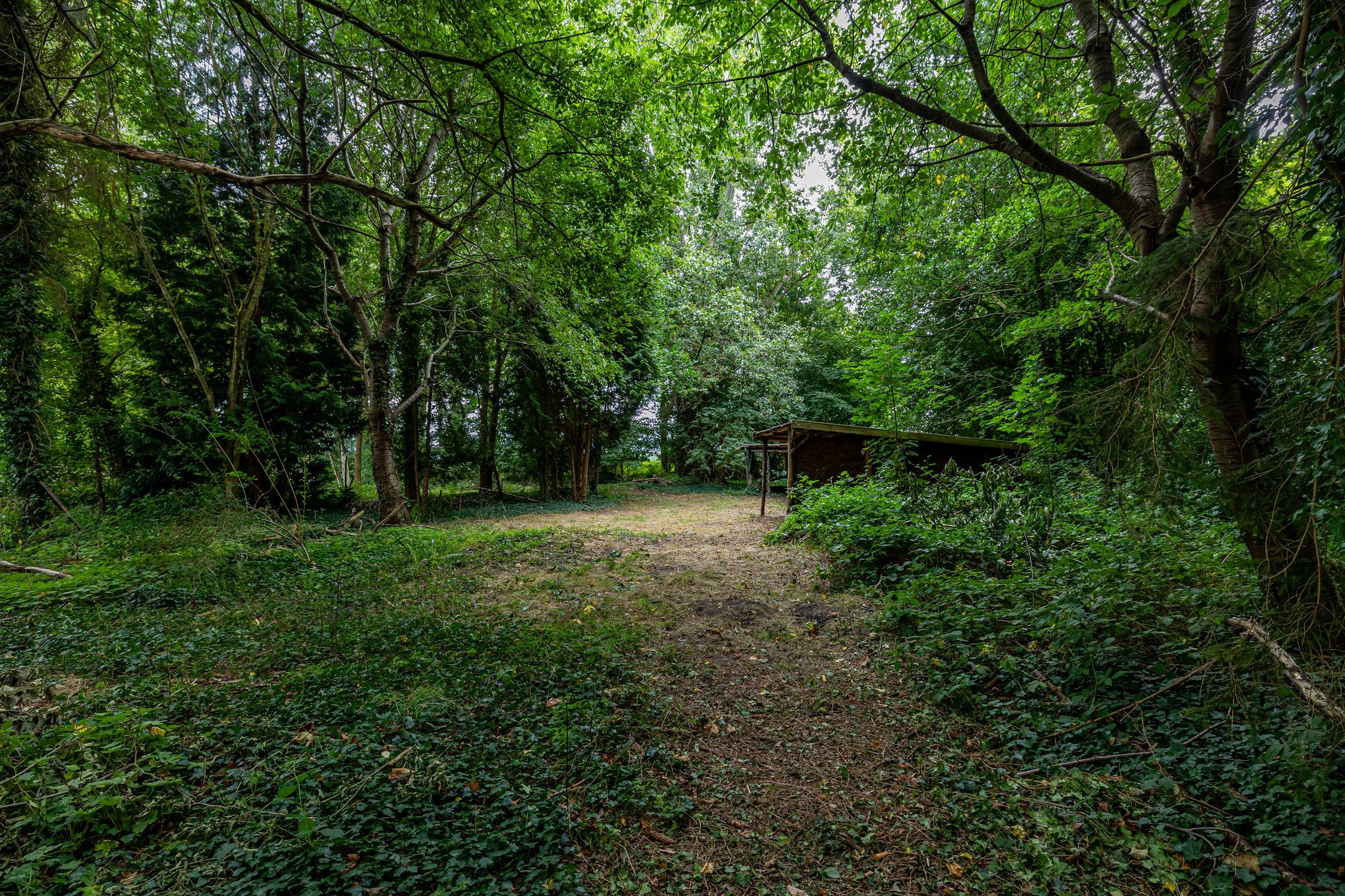 Foto 51 van Luutkampenweg 8