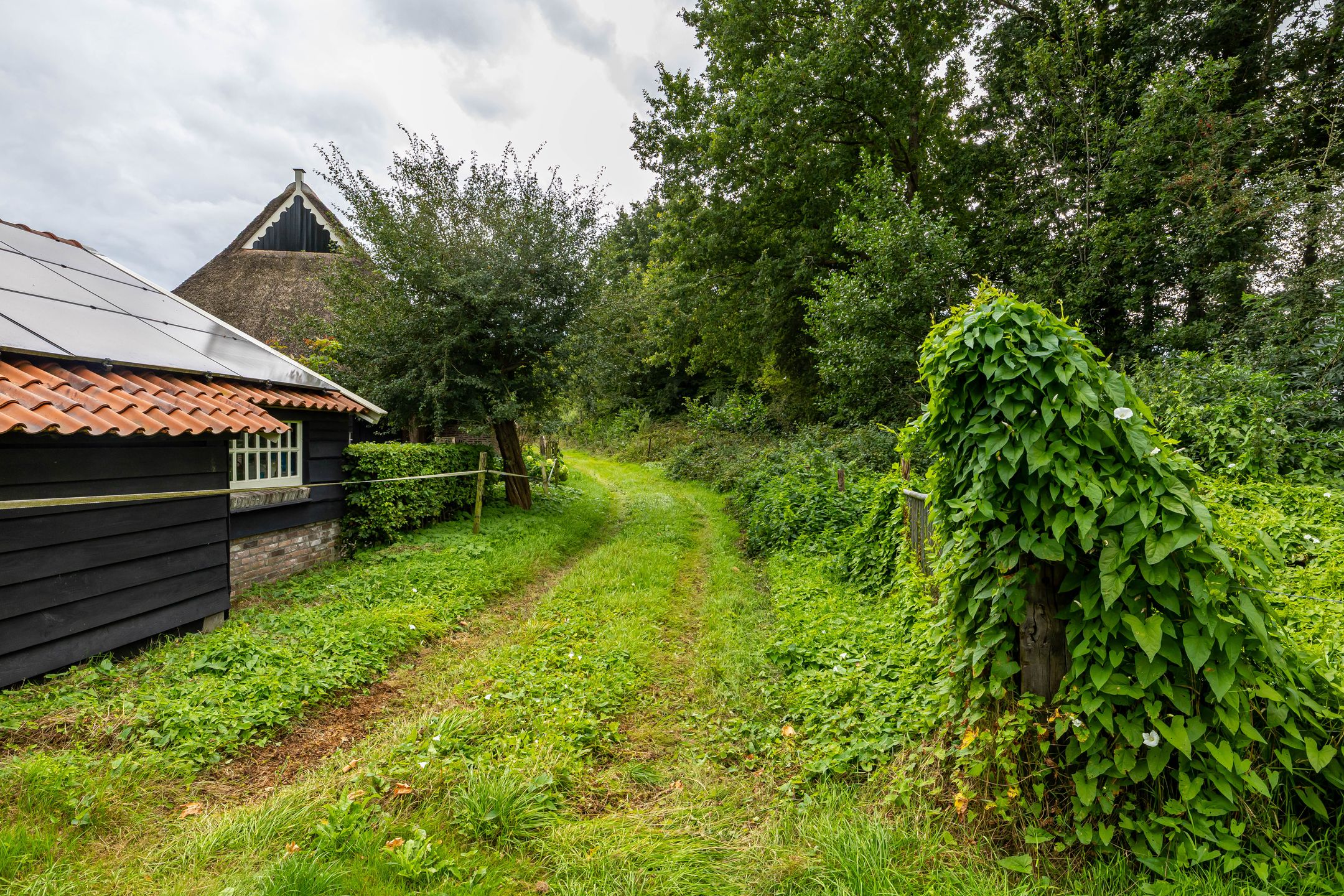 Foto 39 van Luutkampenweg 8