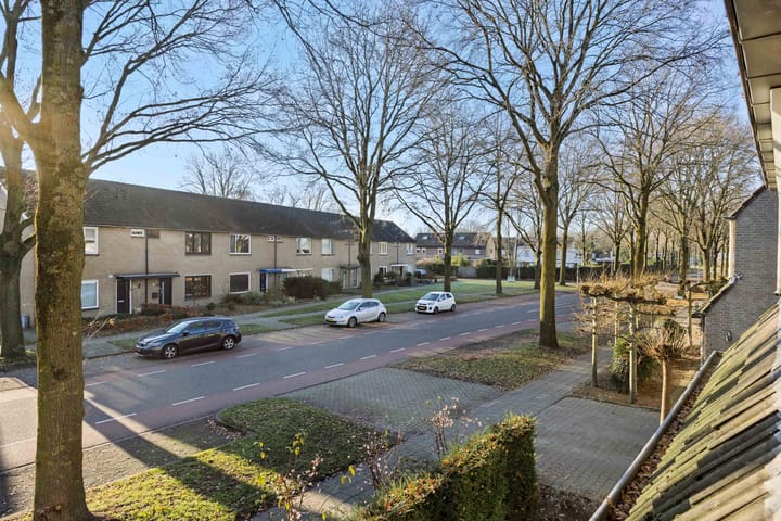 Foto 31 van Maassingel 47