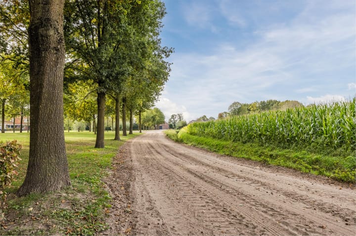 Foto 4 van Lange Akker 23