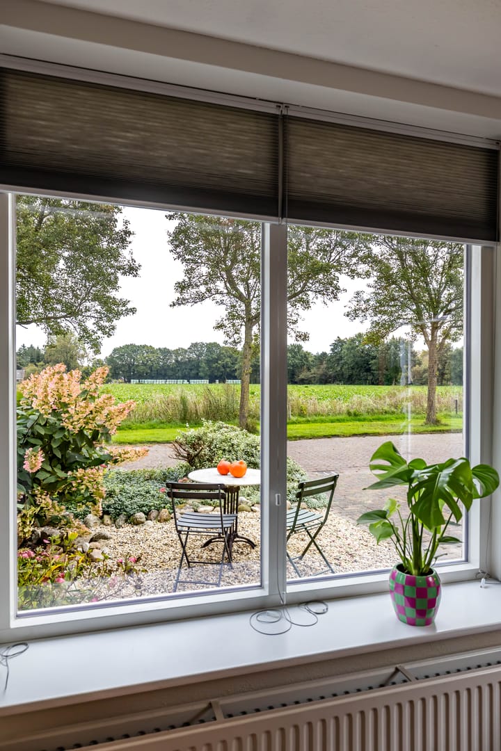 Foto 14 van Uiver 10