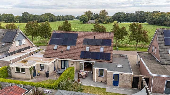 Foto 65 van Uiver 10