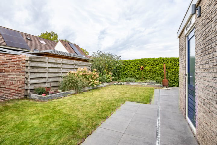 Foto 53 van Uiver 10