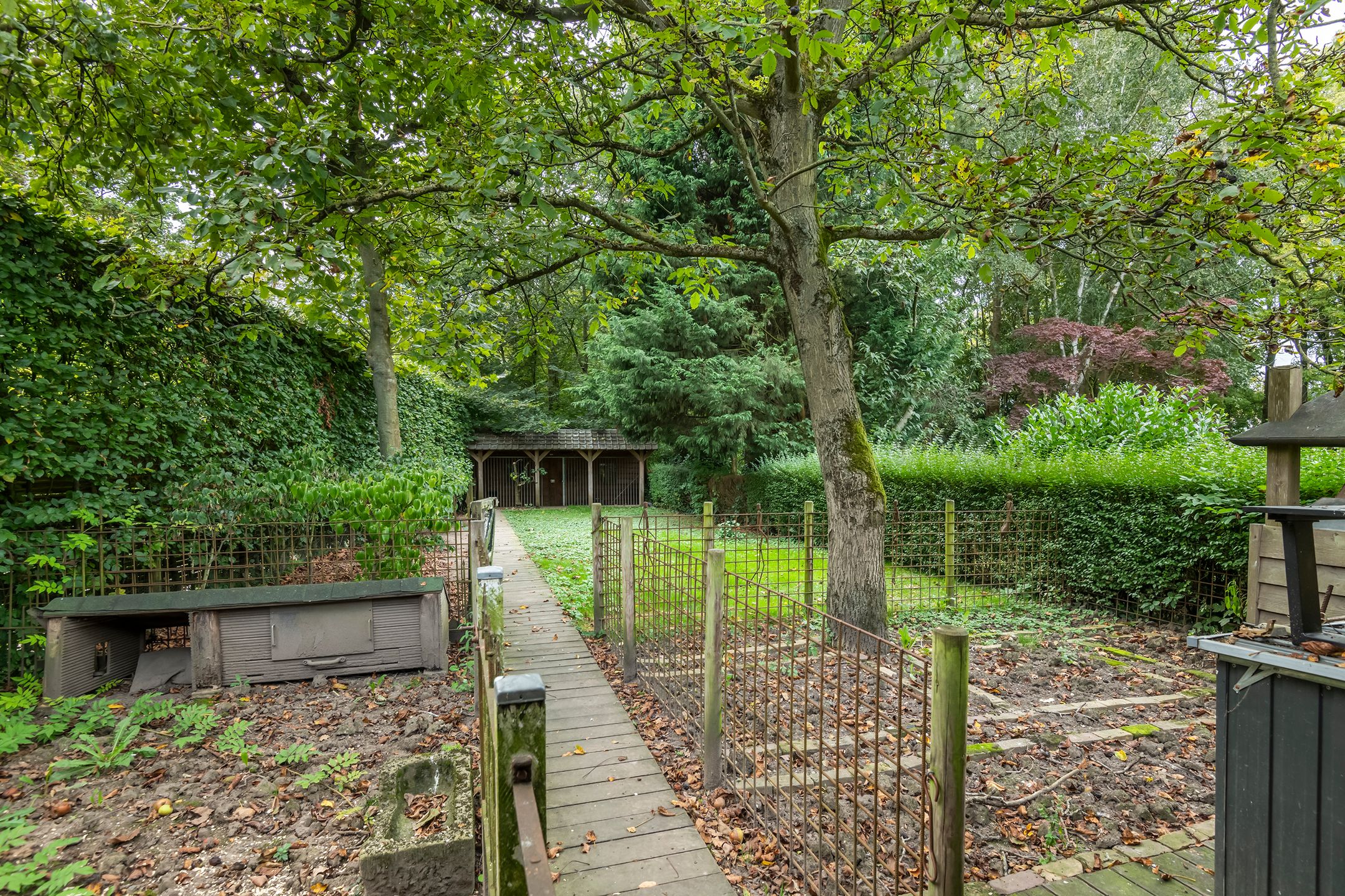 Foto 30 van Burgemeester Meslaan 53