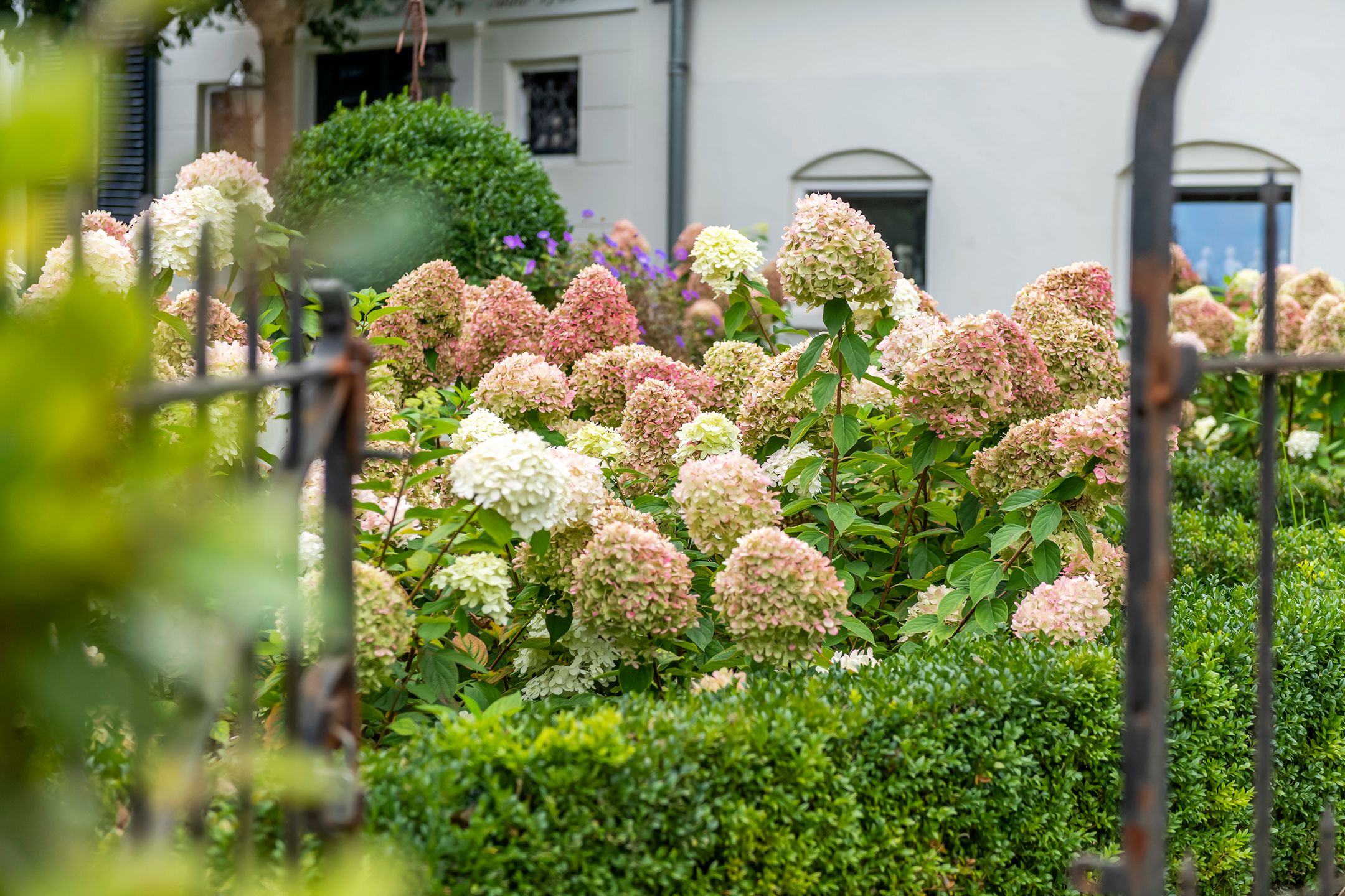 Foto 45 van Burgemeester Meslaan 53