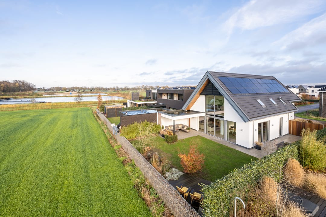 Foto 1 van Zilverkarper 13