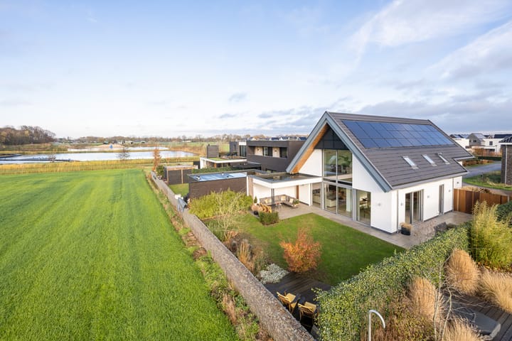 Foto 1 van Zilverkarper 13