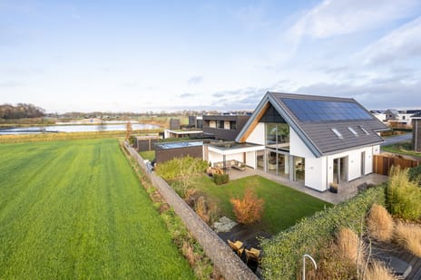 Zilverkarper thumbnail