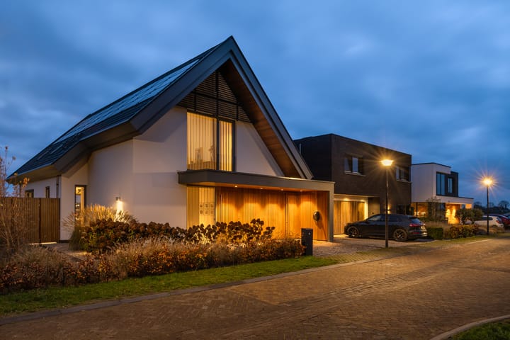 Foto 2 van Zilverkarper 13