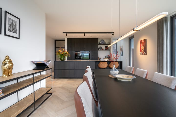 Foto 4 van Zilverkarper 13