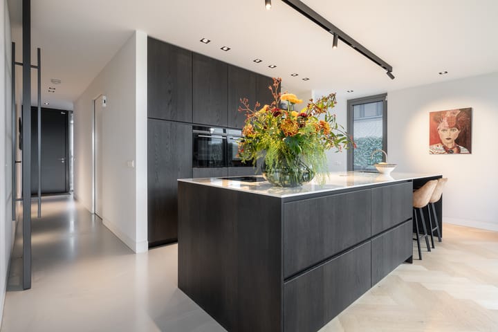 Foto 5 van Zilverkarper 13