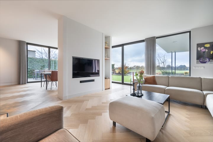 Foto 10 van Zilverkarper 13