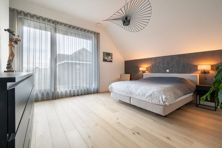 Foto 14 van Zilverkarper 13