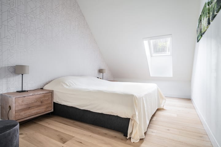 Foto 17 van Zilverkarper 13